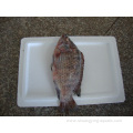 Fresh Frozen Iqf Whole Round Tilapia For Africa